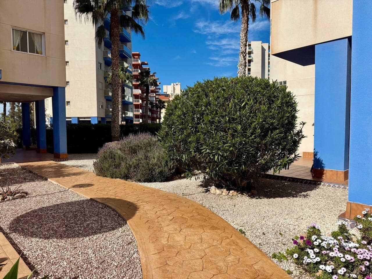 3 chambre Appartement à vendre à Guardamar del Segura avec piscine - 249 900 € (Ref: 9877337)