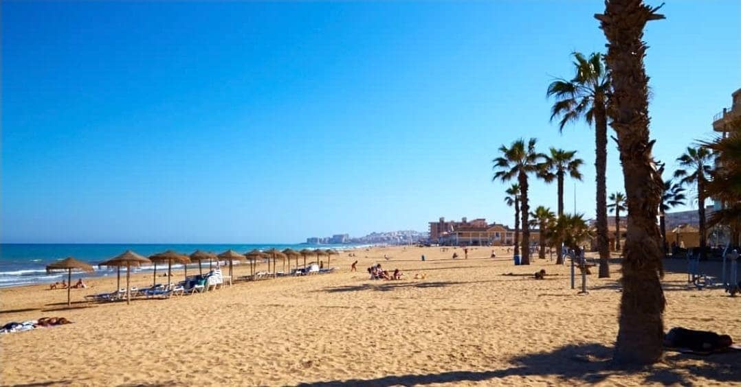 Apartamento de 1 habitación en Torrevieja en venta con piscina - 149.000 € (Ref: 9877341)