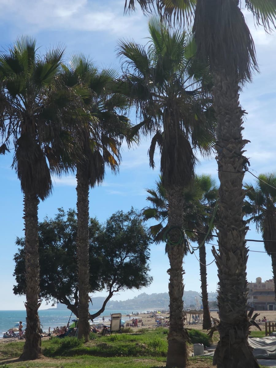 Apartamento de 1 habitación en Torrevieja en venta con piscina - 149.000 € (Ref: 9877341)
