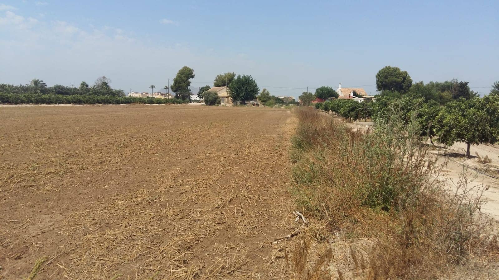 Finca/Casa Rural de 3 habitaciones en Daya Nueva en venta - 347.000 € (Ref: 9878040)