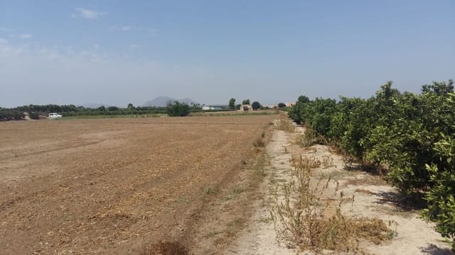 Finca/Casa Rural de 3 habitaciones en Daya Nueva en venta - 347.000 € (Ref: 9878040)