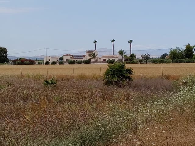 Tomt till salu i San Fulgencio - 265 000 € (Ref: 9878090)