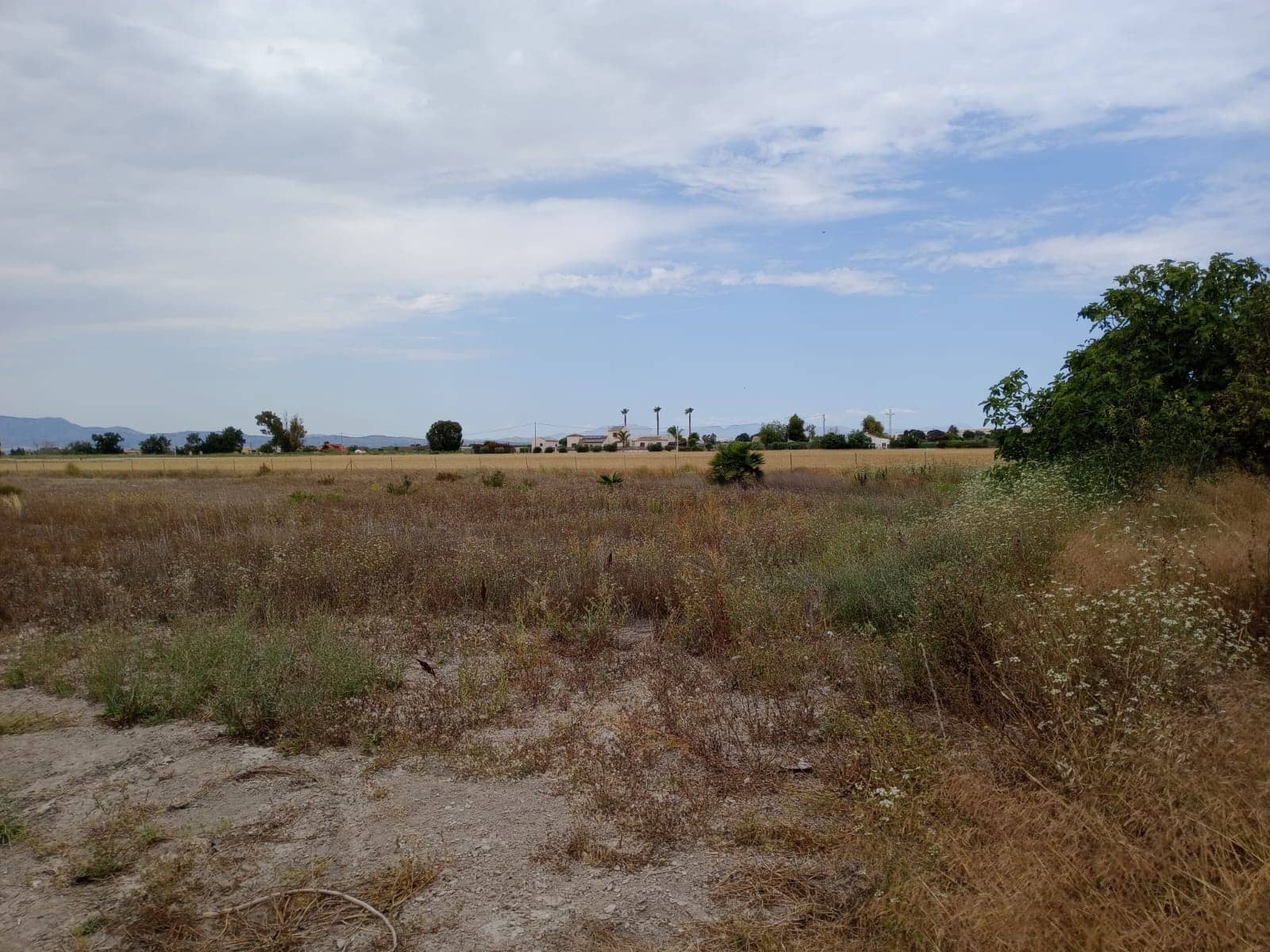 Byggetomt til salgs i San Fulgencio - € 265 000 (Ref: 9878090)