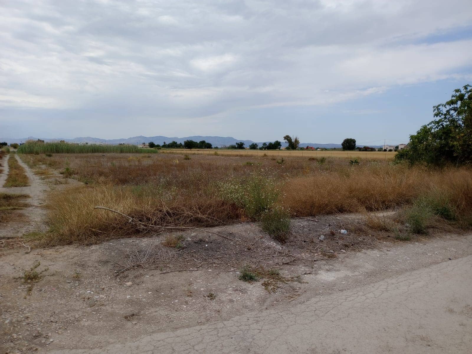 Byggetomt til salgs i San Fulgencio - € 265 000 (Ref: 9878090)