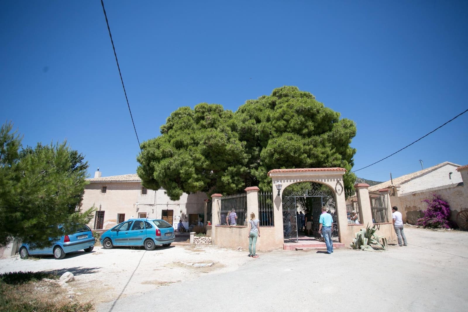 Commercial for sale in Pinoso - € 5,000,000 (Ref: 9878094)