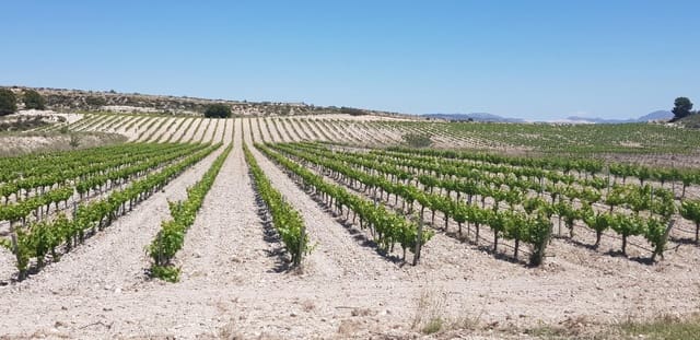 Local Comercial en Pinoso en venta - 5.000.000 € (Ref: 9878094)