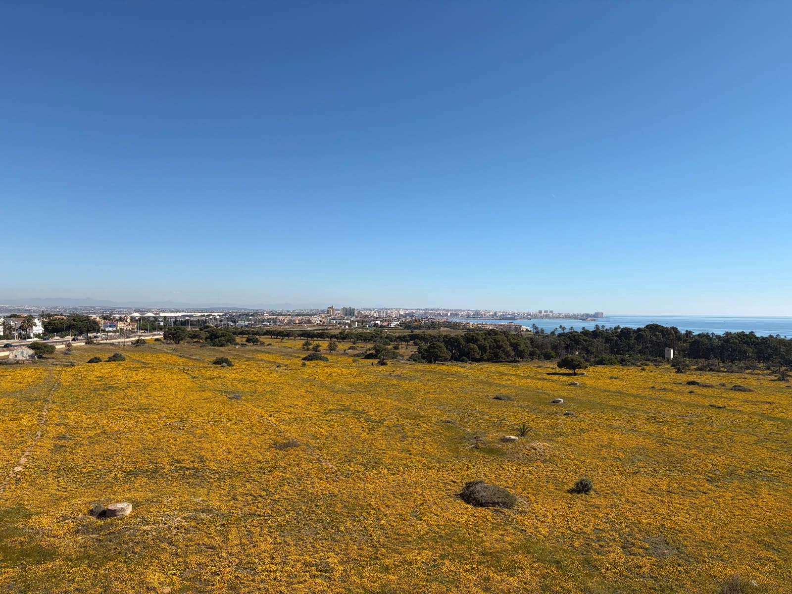 2 bedroom Penthouse for sale in Torrevieja - € 220,000 (Ref: 9899689)
