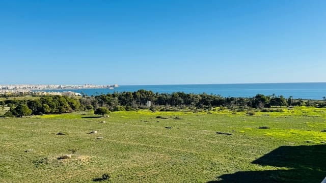 2 bedroom Penthouse for sale in Punta Prima, Torrevieja - € 220,000 (Ref: 9899689)