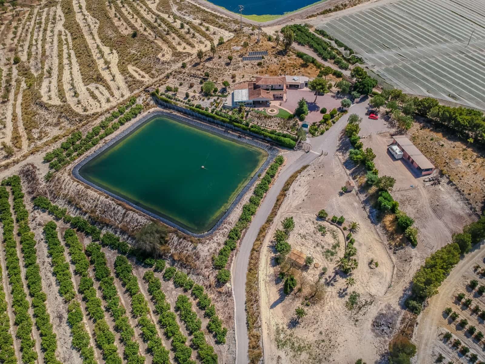 3 soverom Finca/Herregård til salgs i San Miguel de Salinas med svømmebasseng garasje - € 999 900 (Ref: 9912426)