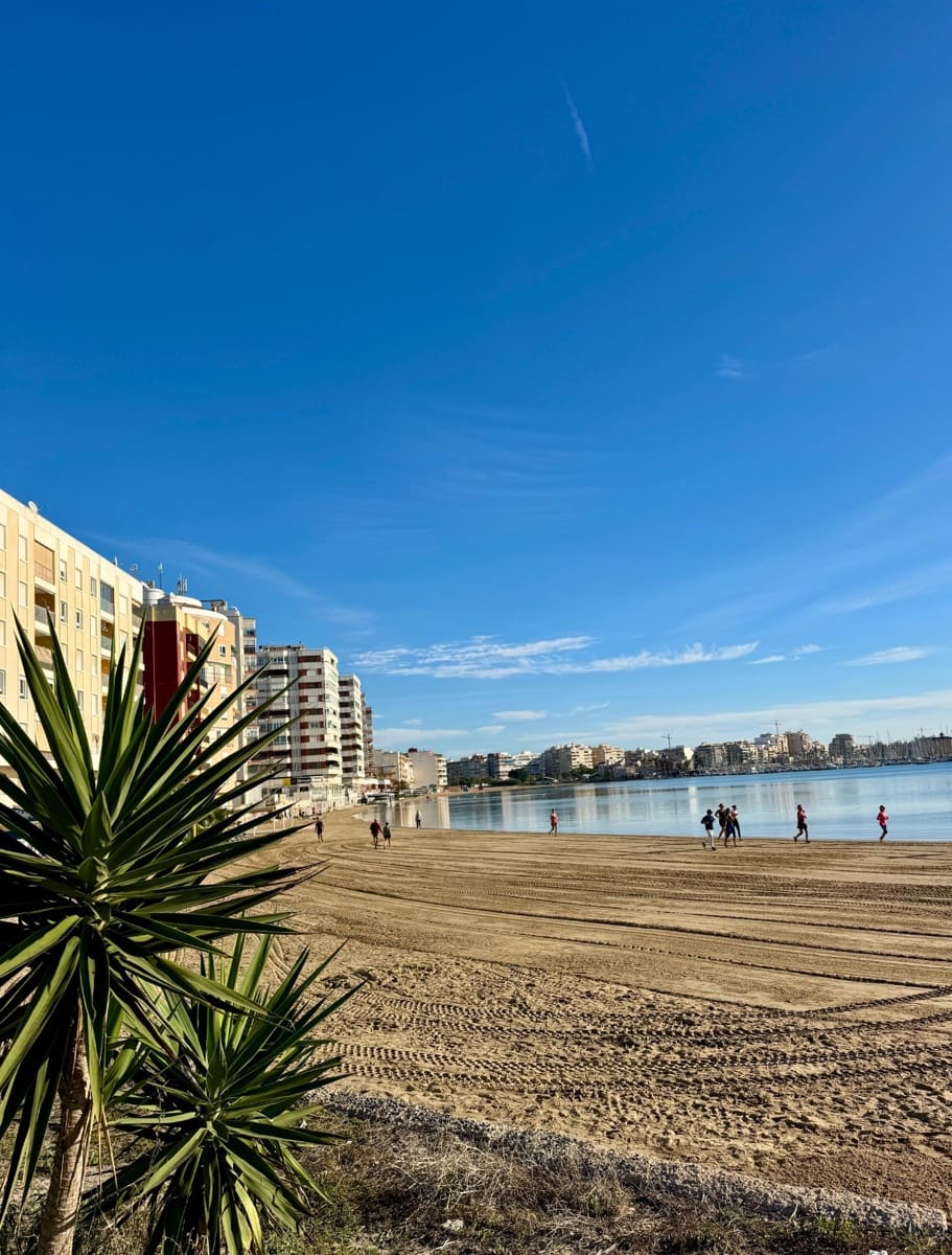 1 chambre Penthouse à vendre à Torrevieja avec piscine - 210 000 € (Ref: 10046232)