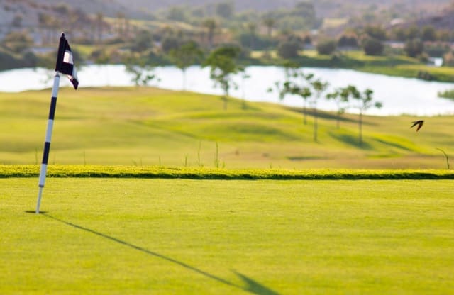 2 bedroom Apartment for sale in Monforte del Cid with pool garage - € 395,000 (Ref: 7155391)