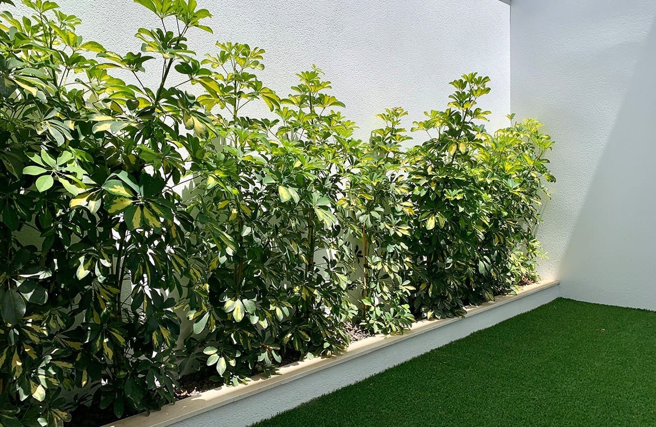 3 chambre Villa/Maison à vendre à Los Alcazares avec piscine garage - 489 900 € (Ref: 7673611)