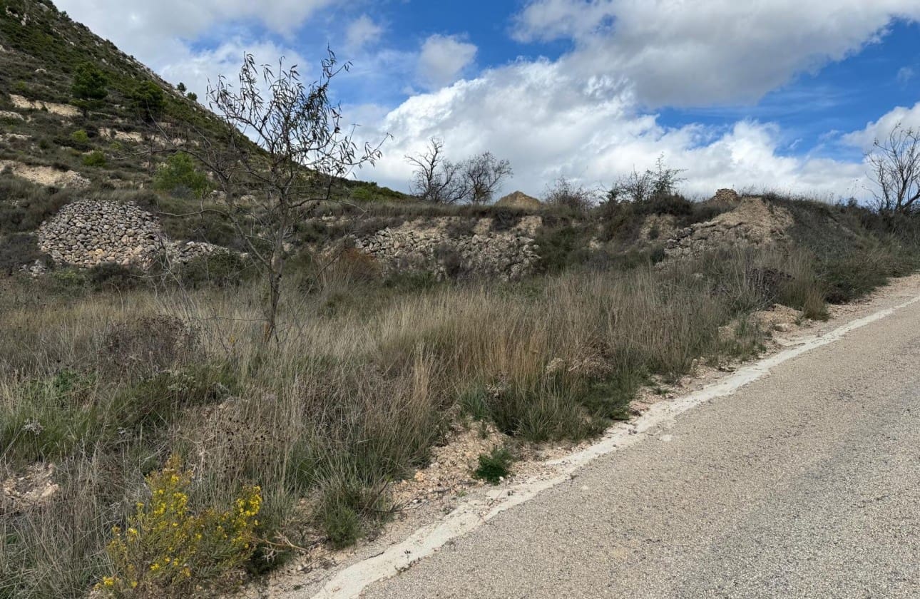 Byggegrund til salg i Confrides - € 40.000 (Ref: 9554264)