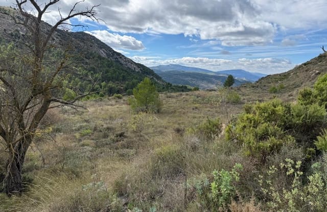 Byggegrund til salg i Confrides - € 40.000 (Ref: 9554264)