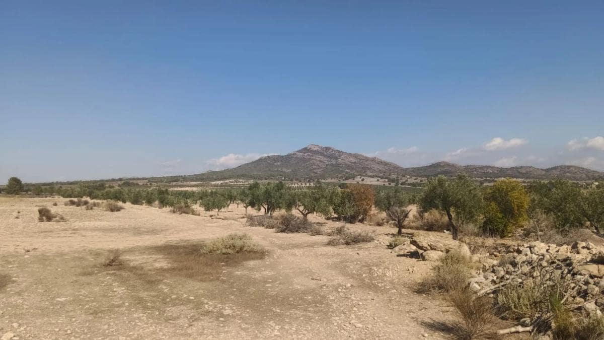 Villa til salgs i Salinas - € 119 999 (Ref: 9853158)
