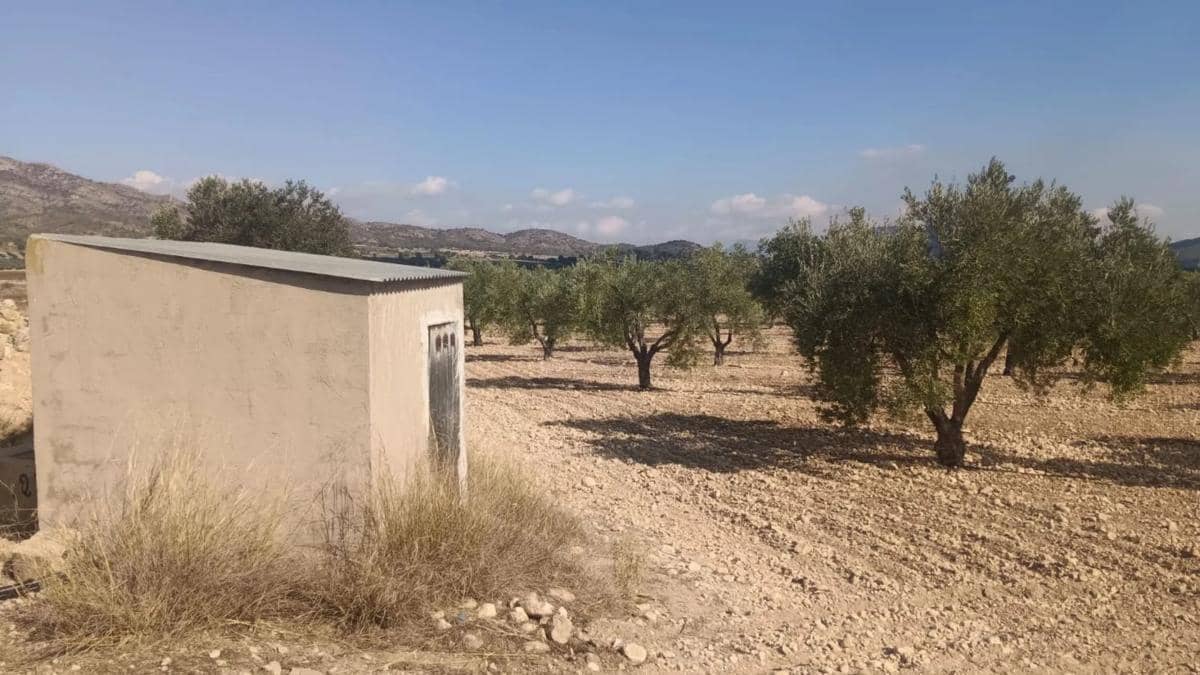 Villa til salgs i Salinas - € 119 999 (Ref: 9853158)