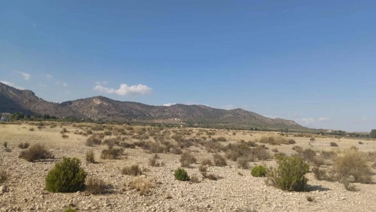 Villa til salgs i Salinas - € 119 999 (Ref: 9853158)