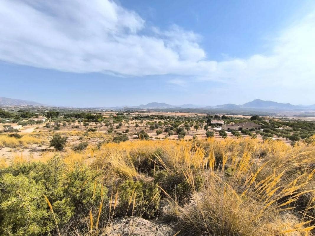 Villa til salgs i Sax - € 59 995 (Ref: 9853161)