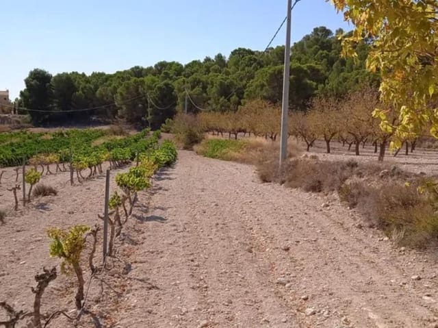 Willa na sprzedaż w Ubeda, Pinoso - 43 995 € (Ref: 9853170)
