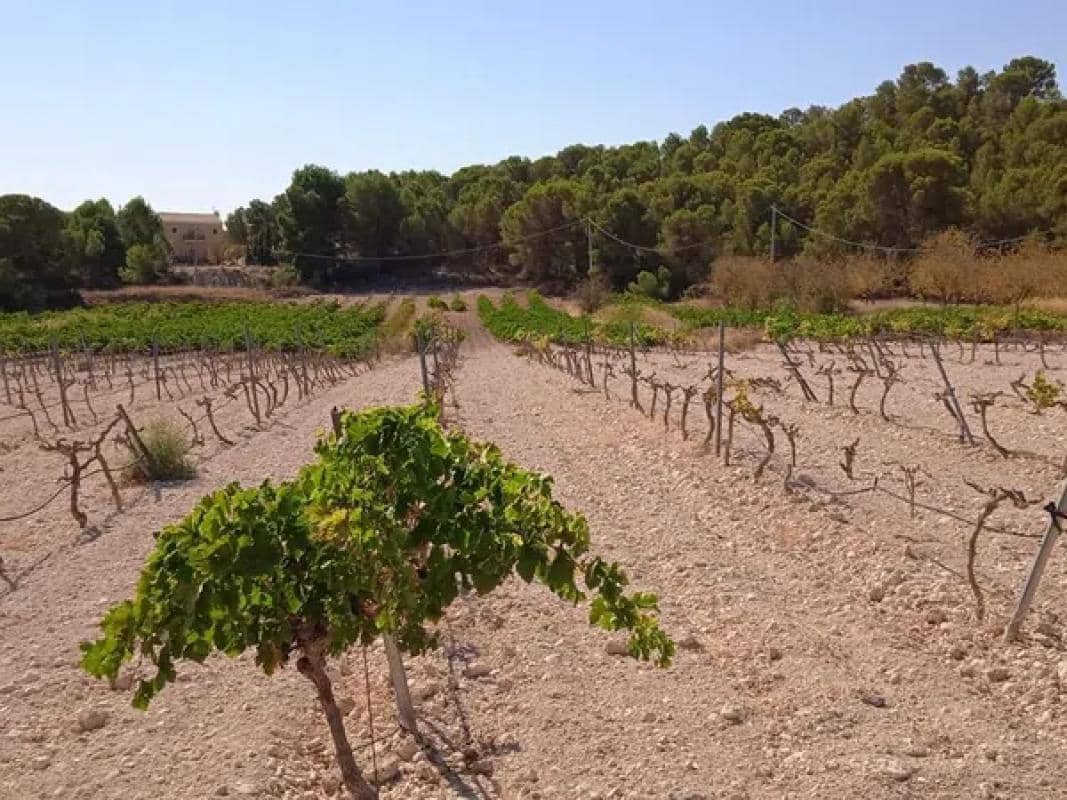 Villa til salgs i Pinoso - € 43 995 (Ref: 9853170)