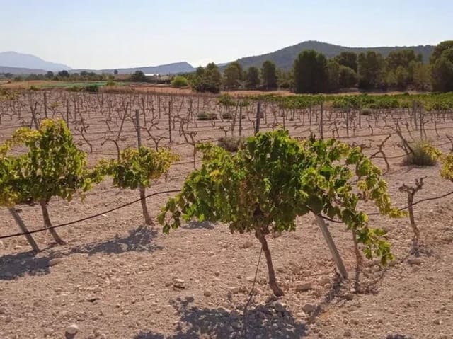 Willa na sprzedaż w Ubeda, Pinoso - 43 995 € (Ref: 9853170)