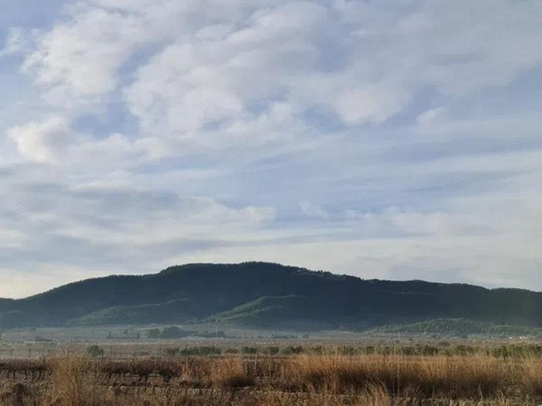 Villa til salgs i Monovar / Monover - € 119 000 (Ref: 9853187)