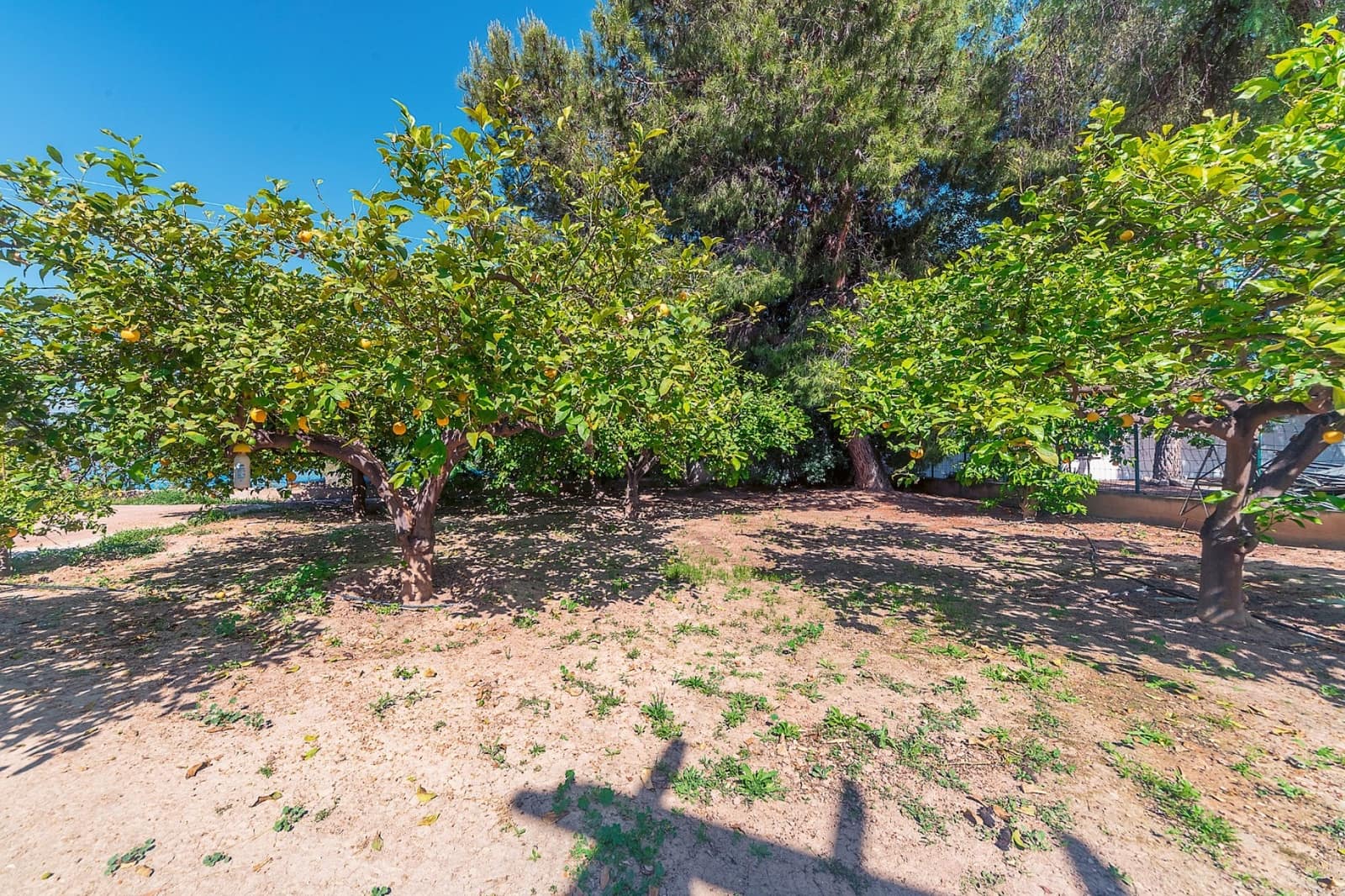 4 bedroom Villa for sale in San Vicente / Sant Vicent del Raspeig with pool - € 469,000 (Ref: 9926314)