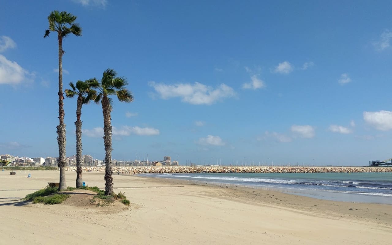 3 bedroom Villa for sale in Torrevieja with pool - € 305,000 (Ref: 10004332)