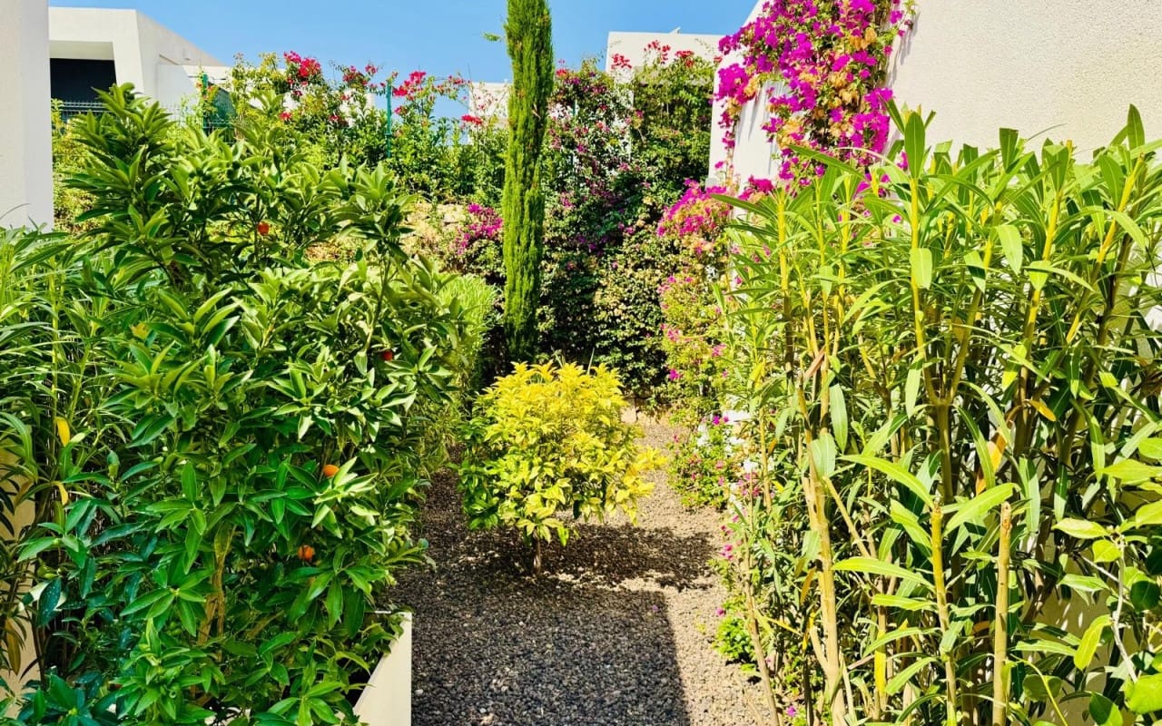 2 quarto Moradia para venda em Algorfa com piscina - 575 000 € (Ref: 10021483)