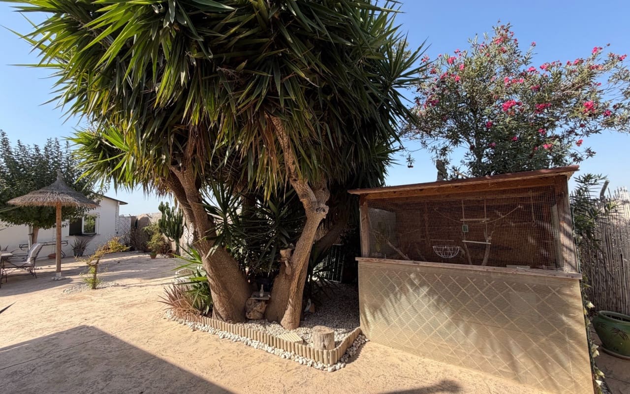 3 quarto Quinta/Casa Rural para venda em La Marina com piscina - 375 000 € (Ref: 10060536)