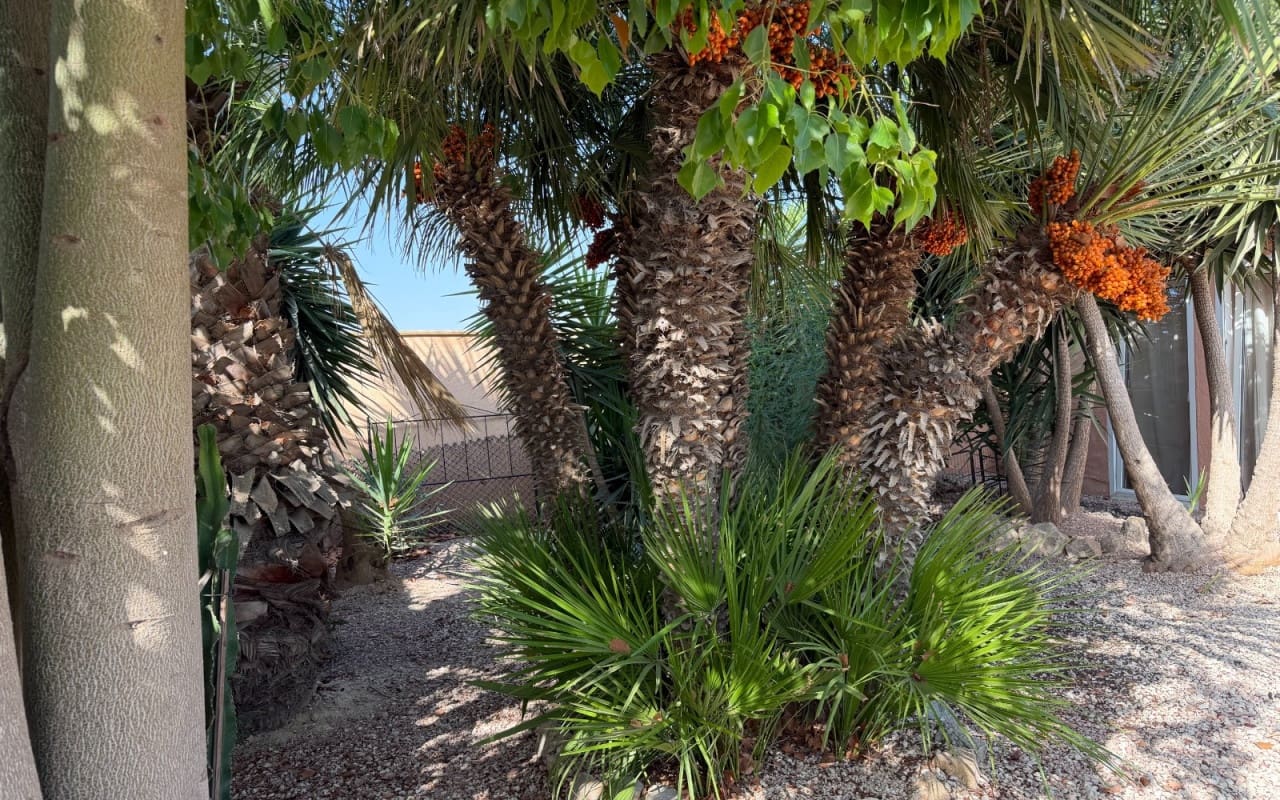 3 quarto Quinta/Casa Rural para venda em La Marina com piscina - 375 000 € (Ref: 10060536)