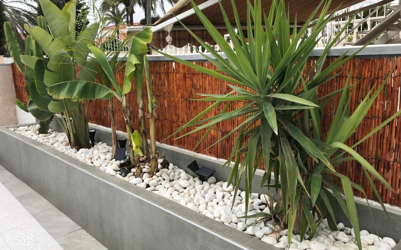 2 soverom Hus til leie i Torrevieja med svømmebasseng - € 850 (Ref: 8425256)