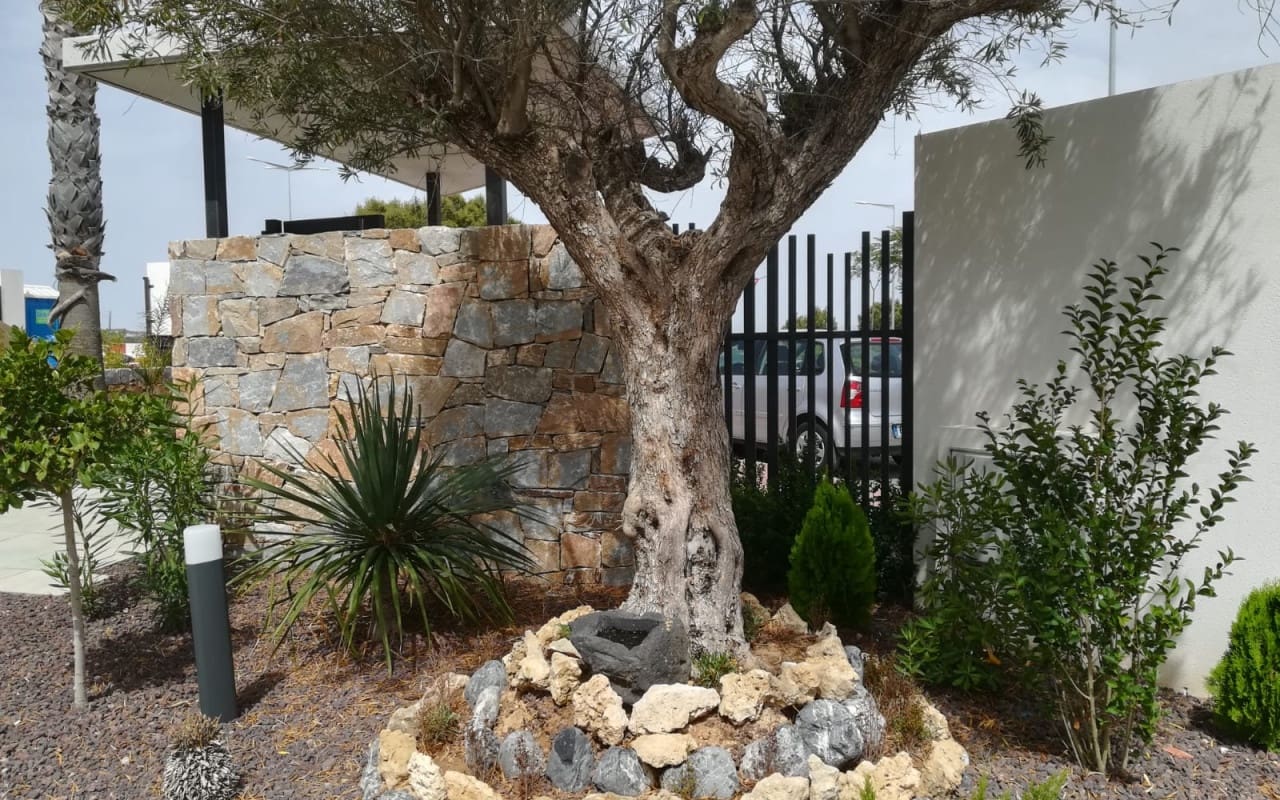 3 slaapkamer Huis te koop in Torrevieja met zwembad - € 279.900 (Ref: 9050099)