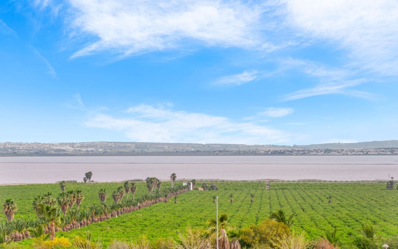 3 bedroom Apartment for sale in Los Balcones with pool - € 349,000 (Ref: 9074129)