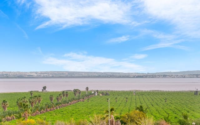 3 chambre Appartement à vendre à Los Balcones avec piscine - 349 000 € (Ref: 9074129)