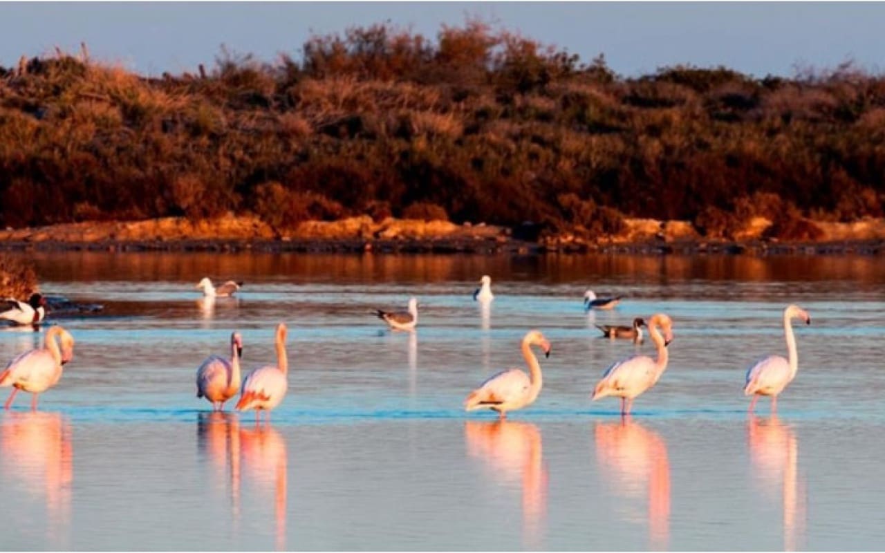 3 slaapkamer Villa te koop in San Pedro del Pinatar - € 369.900 (Ref: 9084332)