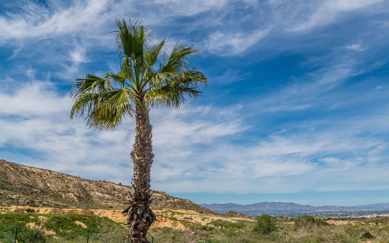 3 bedroom Apartment for sale in Algorfa with pool - € 375,000 (Ref: 9136216)