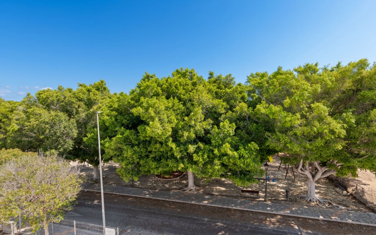 3 soverom Villa til salgs i Pilar de la Horadada - € 539 900 (Ref: 9309044)