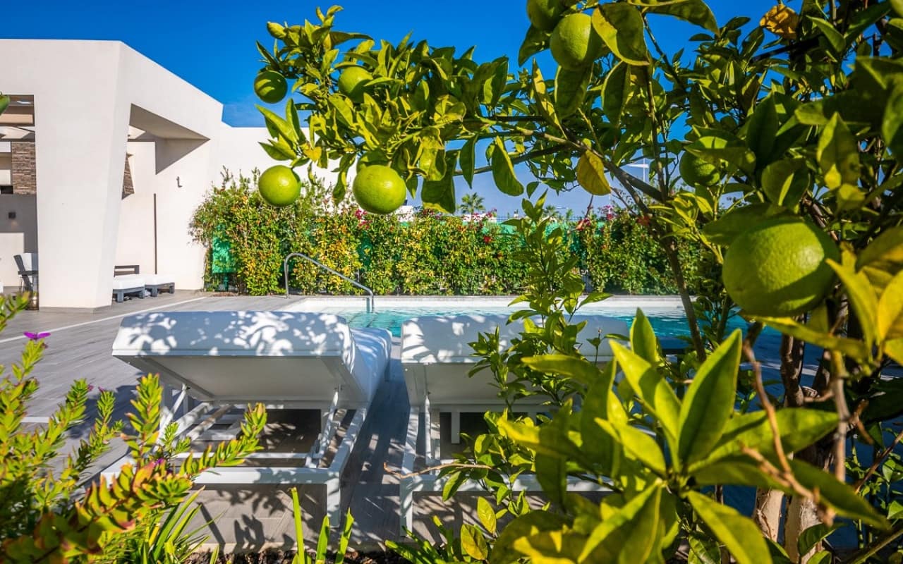 2 slaapkamer Villa te koop in Algorfa - € 660.000 (Ref: 9340101)