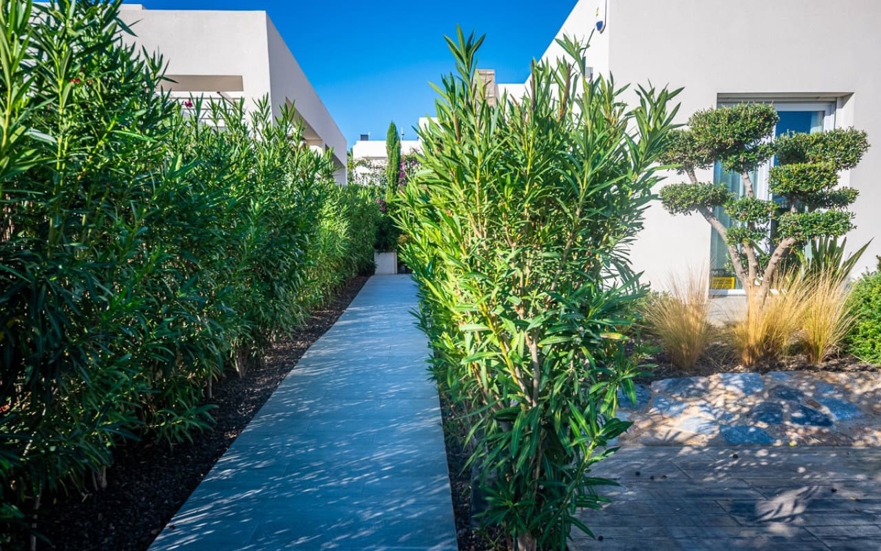 2 slaapkamer Villa te koop in Algorfa - € 660.000 (Ref: 9340101)