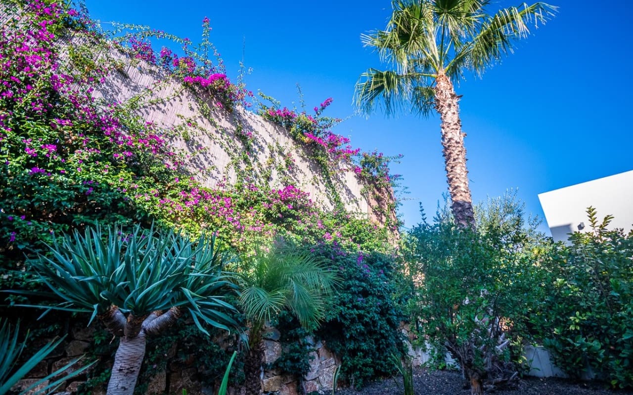 2 slaapkamer Villa te koop in Algorfa - € 660.000 (Ref: 9340101)