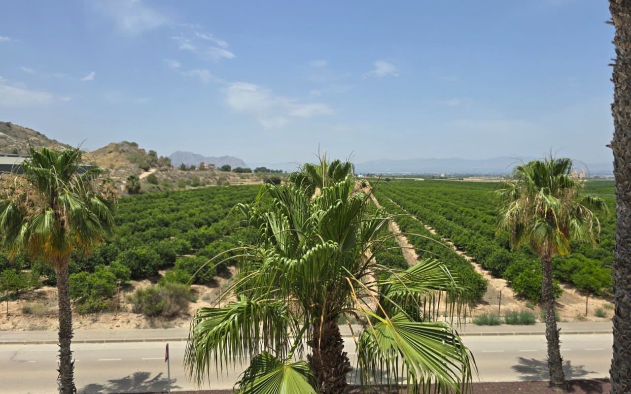 Chalet de 3 habitaciones en Algorfa en venta con piscina - 220.000 € (Ref: 9383783)