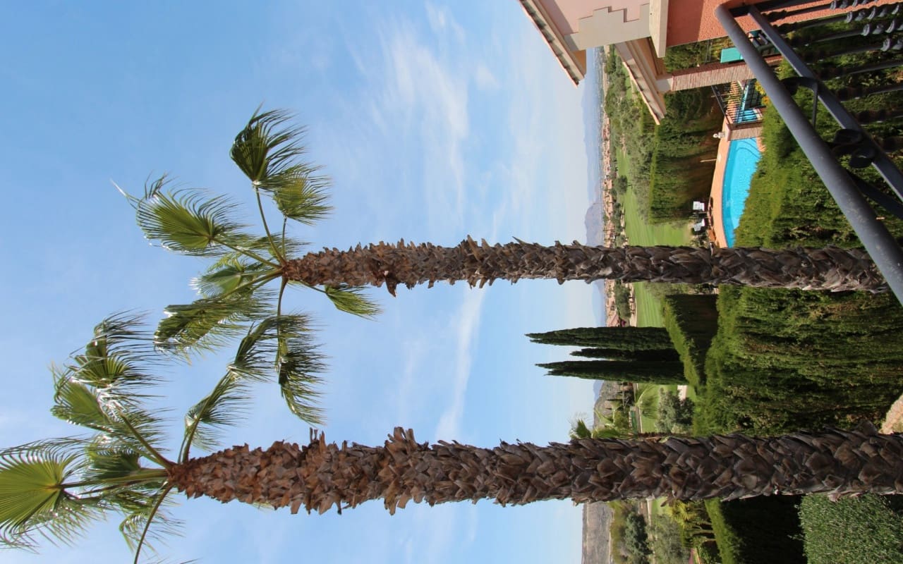 3 bedroom Villa for sale in Algorfa with pool - € 349,990 (Ref: 9388191)