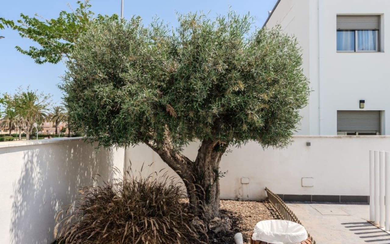 2 quarto Penthouse para venda em Torre de la Horadada com piscina - 229 000 € (Ref: 9388461)