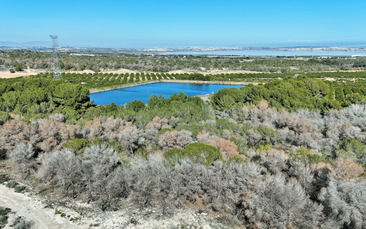 3 soveværelse Villa til salg i Villamartin med swimmingpool - € 448.000 (Ref: 9396296)