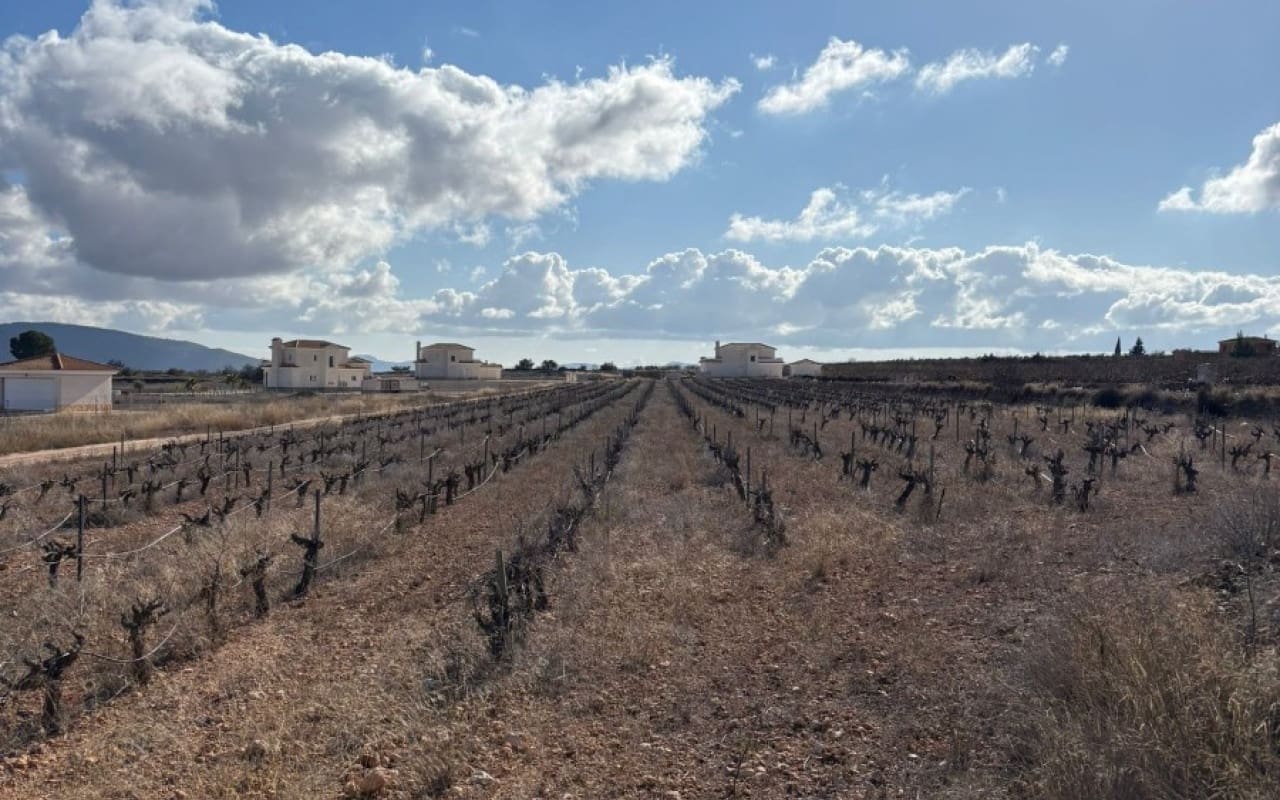 Terreno/Finca Rústica en Pinoso en venta - 70.000 € (Ref: 9548868)