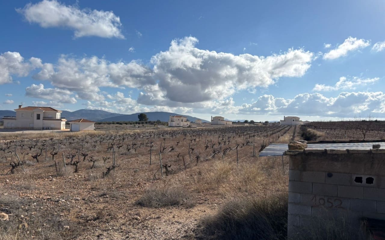 Terreno/Finca Rústica en Pinoso en venta - 70.000 € (Ref: 9548868)