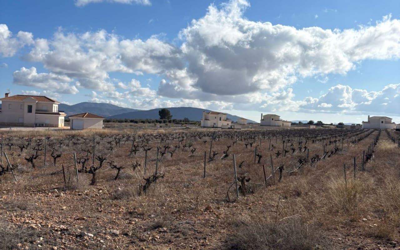 Terreno/Finca Rústica en Pinoso en venta - 70.000 € (Ref: 9548868)