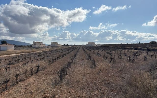 Rakentamaton maa myytävänä paikassa Pinoso - 70 000 € (Ref: 9548868)