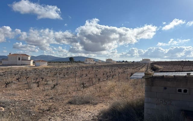 Rakentamaton maa myytävänä paikassa Pinoso - 70 000 € (Ref: 9548868)